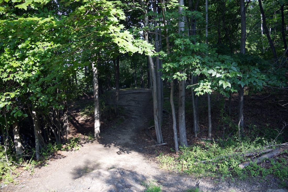 Typical Trail at the G. Thomas Donch Nature Preserve